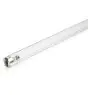 Philips T8 UV - C 36W - ultraviolet | 120cm